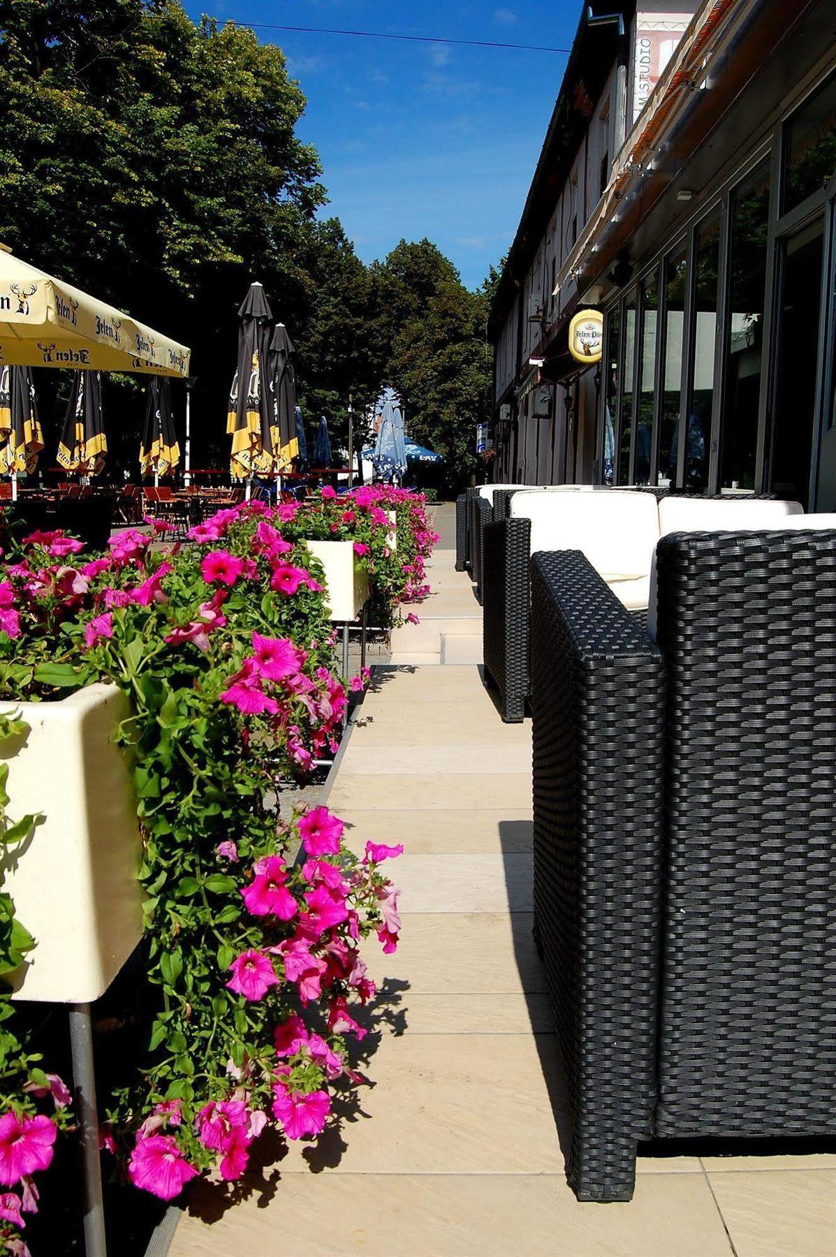 Hotel Tiski Cvet Novi Bečej Exterior foto